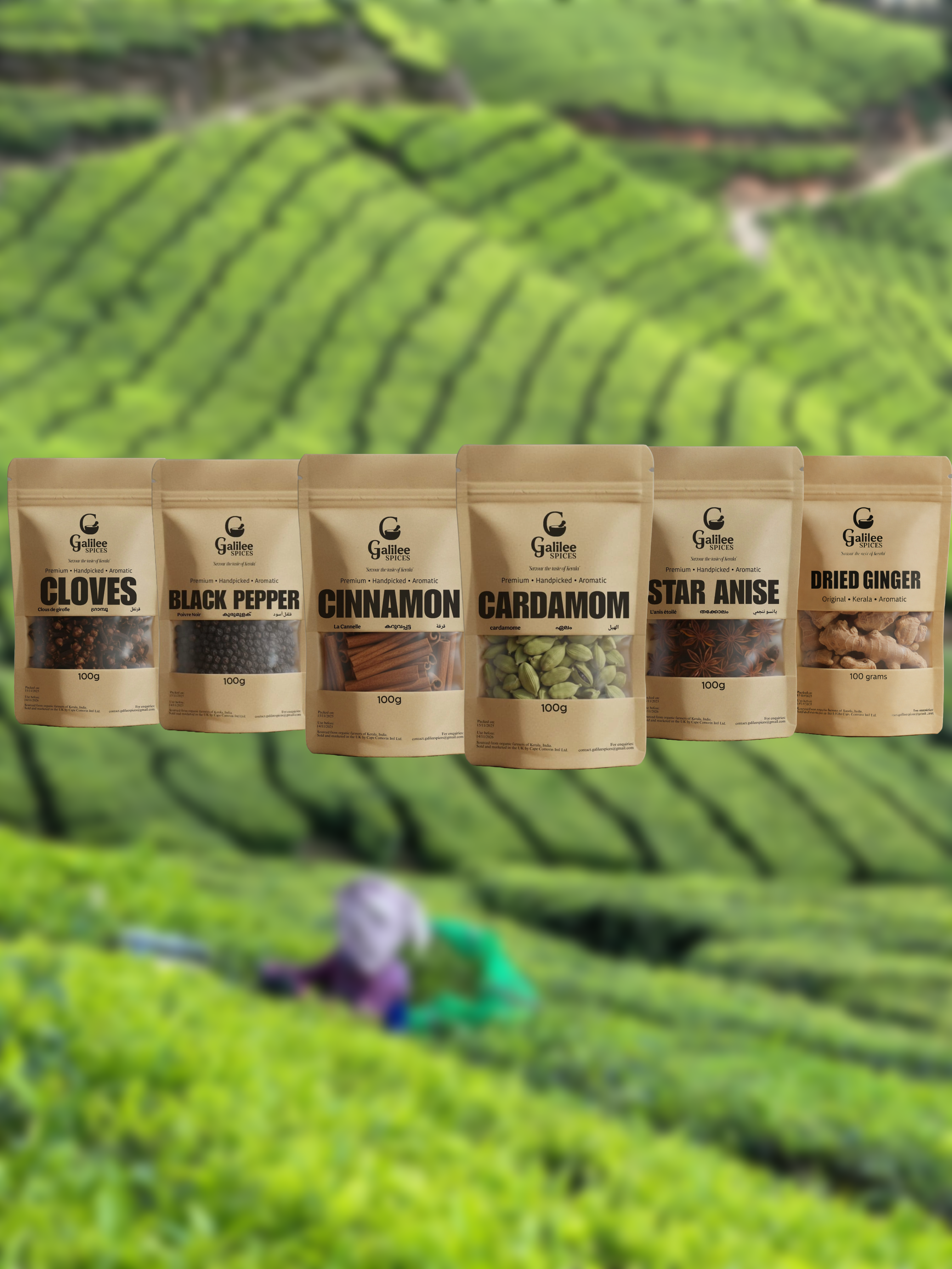 New Year's Gift 6 Pack Offer